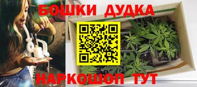 Альфа ПВП Будённовск