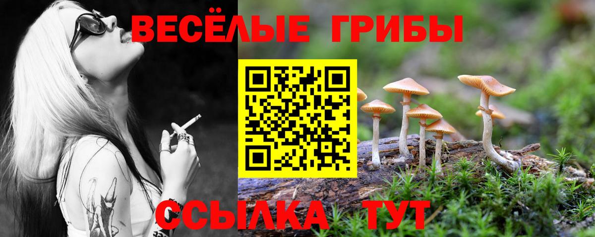 Галлюциногенные грибы мухоморы Подольск